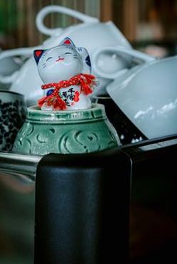 xì tố 8Day
